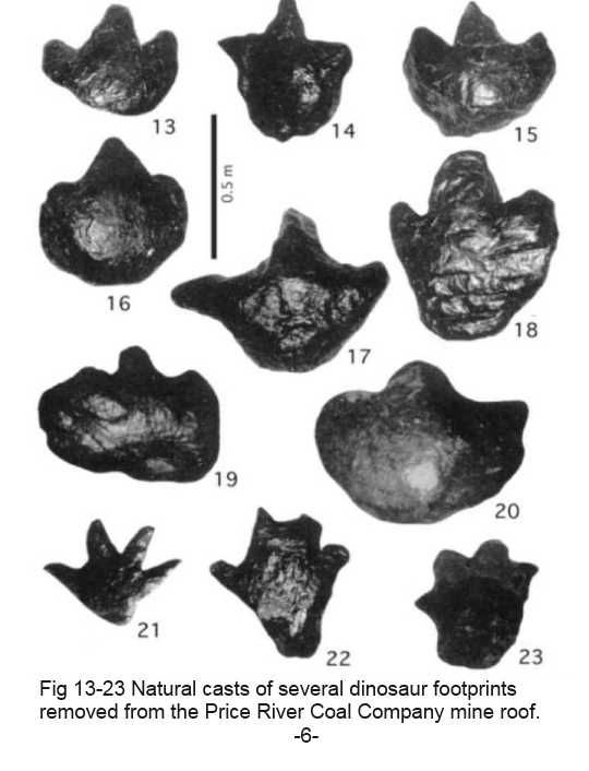 footprint casts